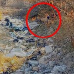 Raped and murdered Mexican girl