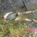 Anria Galang Espiritu