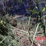 Anria Galang Espiritu