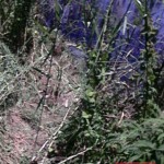 Anria Galang Espiritu