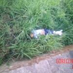 Ingrid Garcia-Ferrer