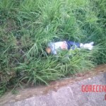 Ingrid Garcia-Ferrer