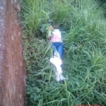 Ingrid Garcia-Ferrer