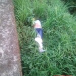 Ingrid Garcia-Ferrer