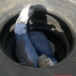 Murdered girl in tire