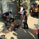 Decomposing remains of woman found in creek