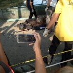 Decomposing remains of woman found in creek