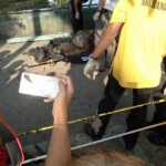 Decomposing remains of woman found in creek