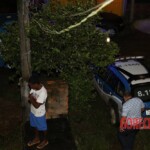 Ivanilda Conceição Lopes