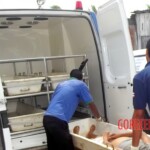 Maria da Glória Alves