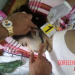 Hanged Cambodian woman