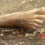 Brena Keyla da Cunha Silva