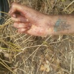 Brena Keyla da Cunha Silva