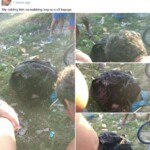 Millicent Anne Garcia