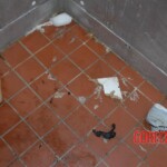 Kenneka Jenkins dead