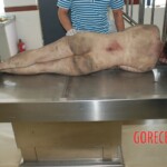 Naked woman in morgue