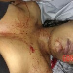 Ariana Oliveira Santos