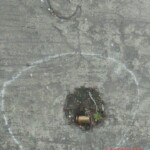 Woman shot dead in Manila