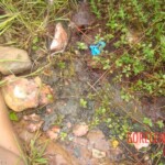 Samara Silva Santos Neves