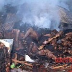 Bali bombing aftermath