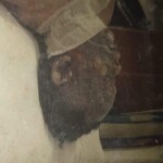 Bali bombing aftermath