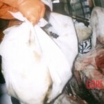 Bali bombing aftermath