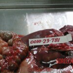 Autopsy of a drug mule