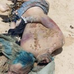 Decapitated body found on Brazilian beach