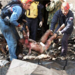 Beslan school massacre