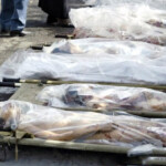 Beslan school massacre