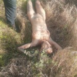 Laura Vanessa Benítez Miranda