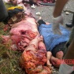 Bus accident victims