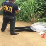 Haziel Joy Estrella Dayday murder