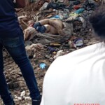 Perla Cristal Sánchez Acosta