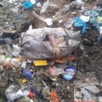 Perla Cristal Sánchez Acosta