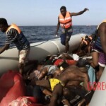 Drowned migrants