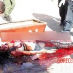 Maribel Rosalía Alfonso