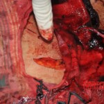 João Torres Galindo