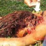 Girl murdered with machete