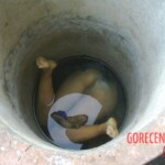 Granny drowned in well