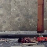 9/11 victim