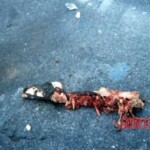 9/11 victim