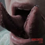 Stitched tongue split