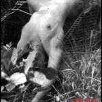 Old photo of raped an murdered woman