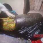 Soledad Maribel Rosas Meregildo