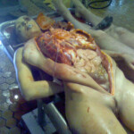 Necrophiliac sexually abuses dead girl in morgue