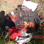 Parachutist's parachute didn't open