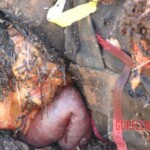 Parachutist's parachute didn't open