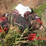 Parachutist's parachute didn't open