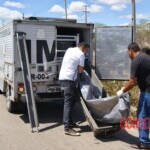 Amanda Kaline Bezerra